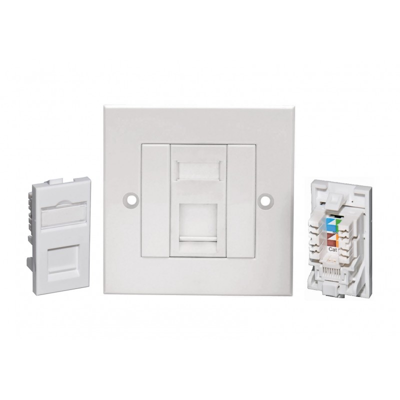 Double Port CAT6 IDC Wall Outlet Face Plate 2 Way RJ45 Network Ethernet  Socket
